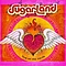 Sugarland - Love On The Inside album