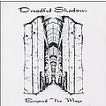 Dreadful Shadows - Beyond the Maze album