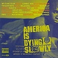 Eightball &amp; MJG - America Is Dying Slowly album
