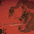 Gov&#039;t Mule - Mulennium album