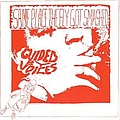 Guided By Voices - Same Place The Fly Got Smashed album