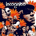 Incognito - bees + things + flowers album