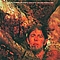 John Mayall - Back To The Roots album