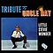 Stevie Wonder - Tribute to Uncle Ray album