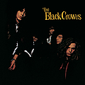 The Black Crowes - Shake Your Money Maker album