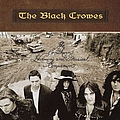 The Black Crowes - The Southern Harmony And Musical Companion album