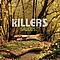 The Killers - Sawdust альбом