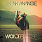 Skunk Anansie - Wonderlustre album