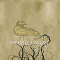 The Spill Canvas - One Fell Swoop album