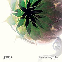 James - The Morning After альбом