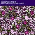 Smashing Pumpkins - Teargarden By Kaleidyscope Vol. II альбом