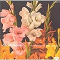 Donna Regina - A Collection of Little Secrets album