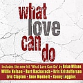 Richard Marx - What Love Can Do album