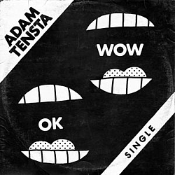 Adam Tensta - OK Wow album