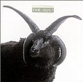 The Cult - The Cult album