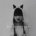 David Sylvian - Sleepwalkers альбом