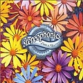 Stereophonics - Have a Nice Day album