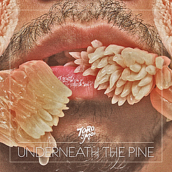Toro Y Moi - Underneath the Pine album