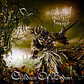 Children Of Bodom - Relentless Reckless Forever album