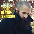 William Fitzsimmons - Gold in the Shadow album