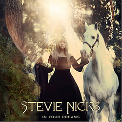 Stevie Nicks - In Your Dreams album