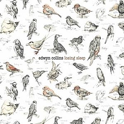 Edwyn Collins - Losing Sleep album