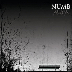 ABiCA - Numb album