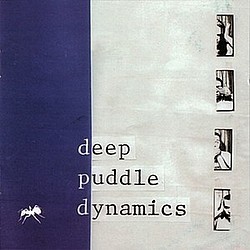 Deep Puddle Dynamics - The Taste Of Rain... Why Kneel альбом