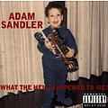 Adam Sandler - What The Hell Happened To Me! album
