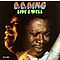 B.B. King - Live &amp; Well album