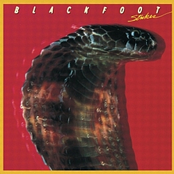 Blackfoot - Strikes album