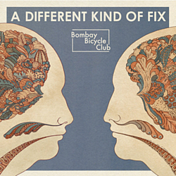 Bombay Bicycle Club - A Different Kind Of Fix альбом