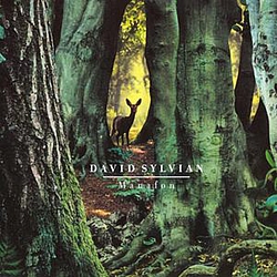 David Sylvian - Manafon album