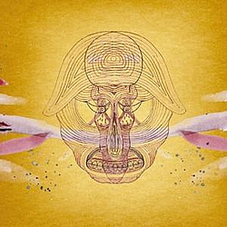Devendra Banhart - What Will We Be (Limited Edition) album