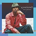 Ginuwine - Back II Basics album