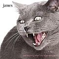 James - The Morning After The Night Before album