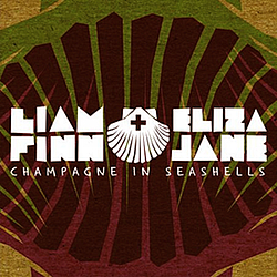 Liam Finn - Champagne in Seashells альбом