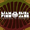 Liam Finn - Champagne in Seashells album