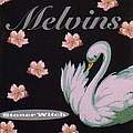 The Melvins - Stoner Witch альбом