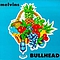 The Melvins - Bullhead album