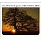 Mountain Goats - The Sunset Tree album