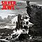 Silver Jews - Lookout Mountain, Lookout Sea album