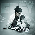 Skylar Grey - Invisible альбом