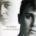 Tears For Fears - Famous Last Words: the Collection album