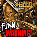 Ace Hood - The Final Warning (Mixtape) album