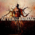 After The Burial - Rareform альбом