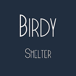 Birdy - Shelter альбом