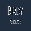 Birdy - Shelter album