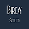 Birdy - Shelter альбом