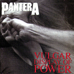 Pantera - Vulgar Display Of Power album